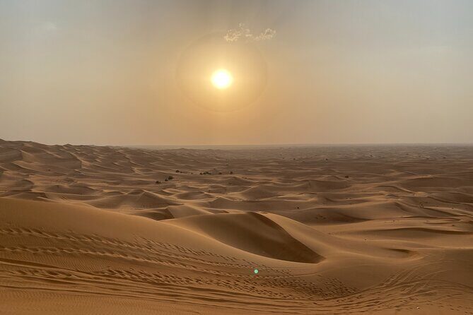 Dubai Desert Safari, Camel Ride, Shisha, Henna, Live BBQ & Shows - Final Thoughts: Who Will Love This Tour?