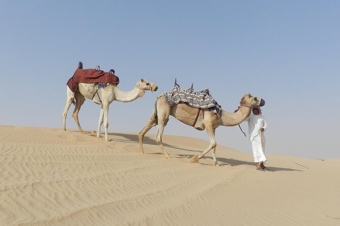 Dubai Desert Safari Dune Bashing, 60min ATV Quad, Camel Ride, BBQ - FAQ