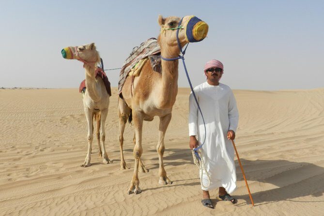 Dubai Desert Safari with BBQ, 3 Shows & Camel Ride at Majlis Camp - FAQ
