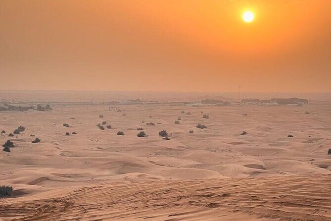 Dubai Desert Safari with Desert Camp Dinner, Camel Ride & Shows - An Introduction to the Desert Safari Experience