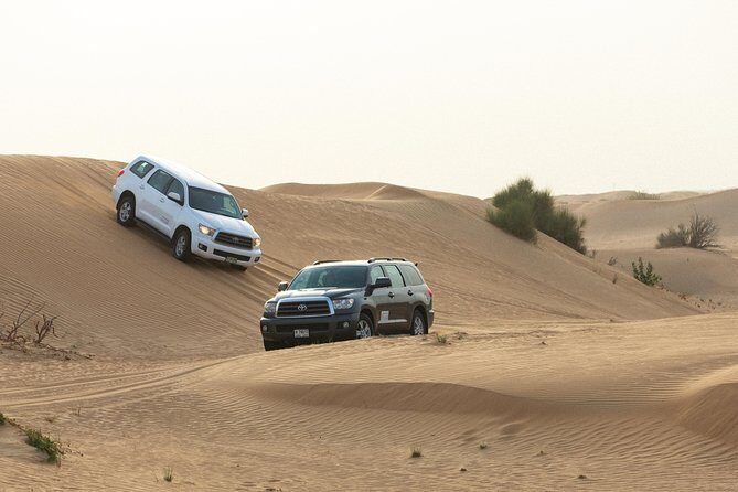 Dubai Desert Safari with Quads, BBQ Dinner, Camel ride, & Shows - Who Would Love This Tour?