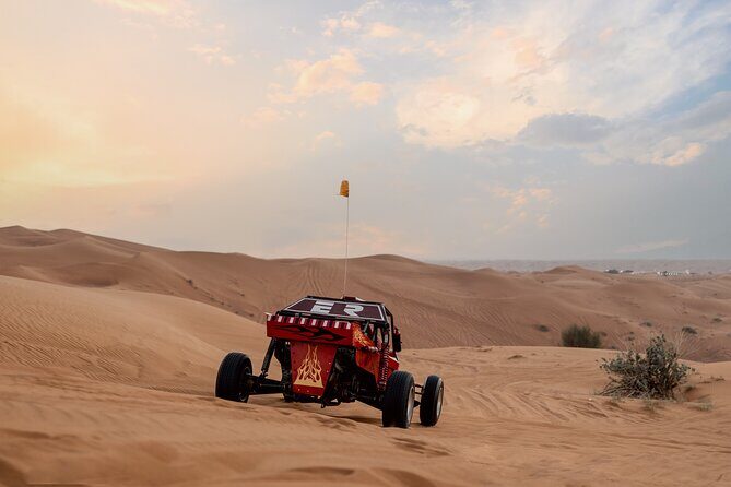 Dubai Dune Buggy Safari Tour in Red Dunes Options - Pricing and Value