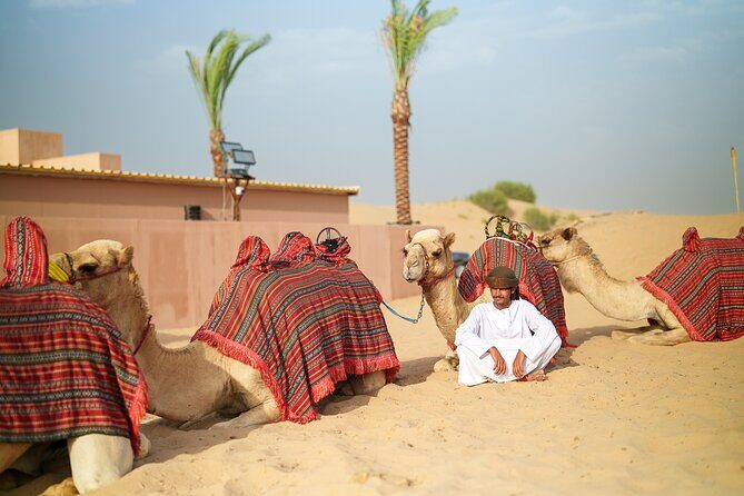 Dubai Evening Desert Safari BBQ Dinner & Transfer to Noble Camp - Is This Tour Worth the Price?