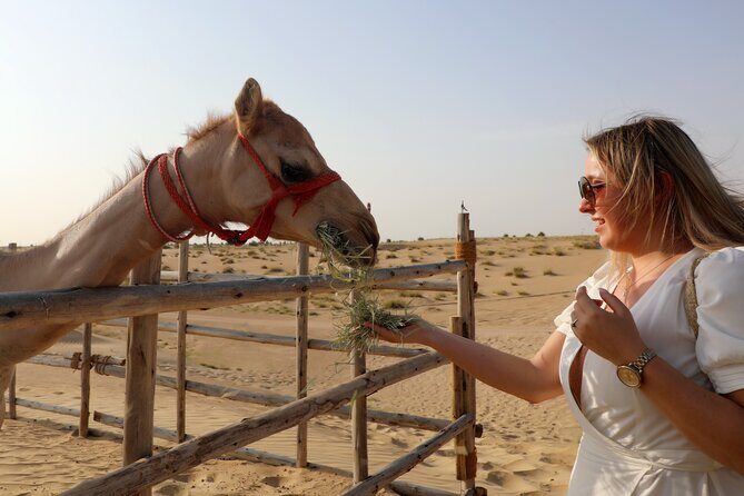 Dubai Evening Heritage Safari by Vintage G Class Al Marmoom Oasis - Who Should Consider This Tour?
