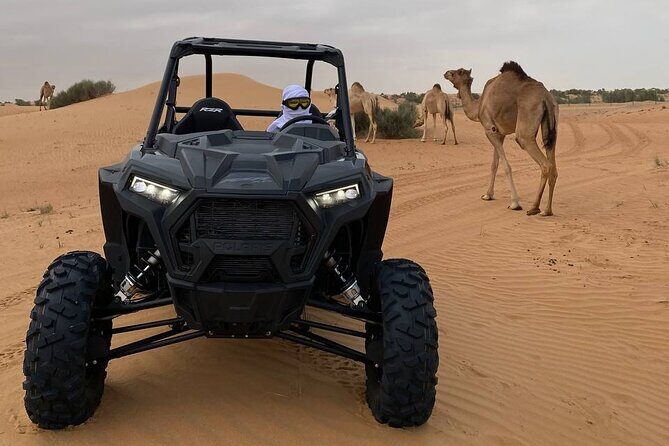 Dubai: Extreme Red Dune Buggy Desert Safari Adventure - Authenticity and Past Experiences