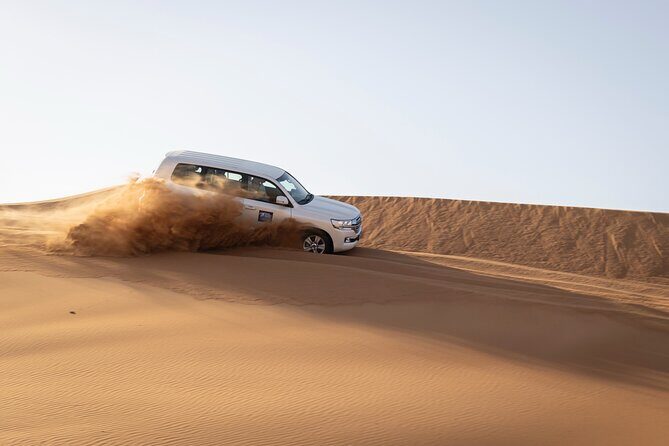 Dubai Half-day Red Dunes bashing with Sandboarding, Camel &Falcon - An Honest Look at the Experience
