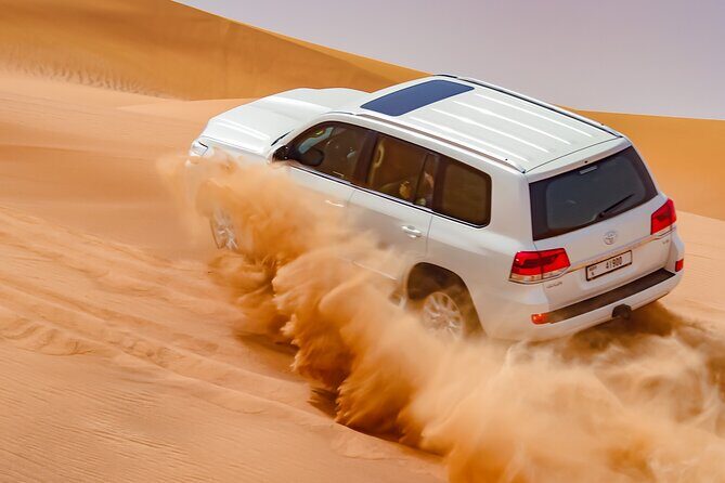 Dubai Morning Evening Desert Safari,Sand boarding and Camel ride - Final Thoughts