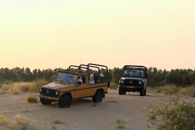 Dubai: Morning Safari by Vintage G Class & Al Marmoom Experience - Who Should Consider This Tour?