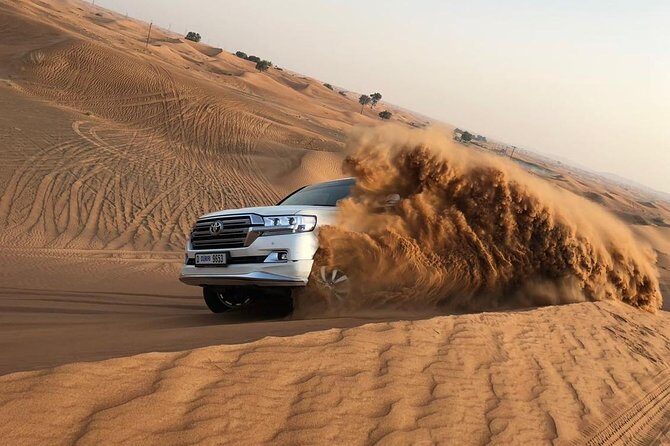 Dubai Red Dunes Desert Safari : Sandboarding, BBQ & Live Shows - Key Points
