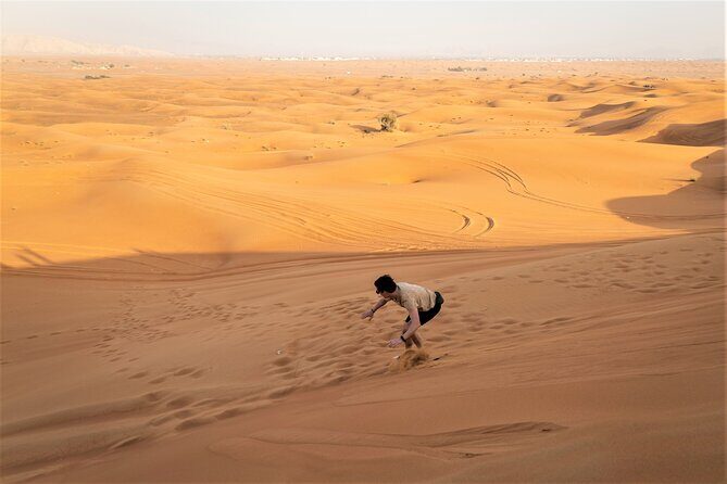 Dubai Red Dunes with Sandboarding, Camel Ride, Falcon & VIP Camp - Who Will Love This Tour?