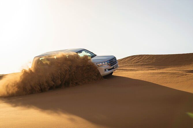Dubai Red Dunes with Sandboarding, Camel Ride, Falcon & VIP Camp - The Sum Up