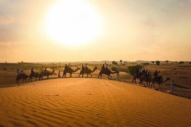 Dubai: Sunset Camel Trek, Al Khayma Camp, Stargazing & BBQ - Key Points