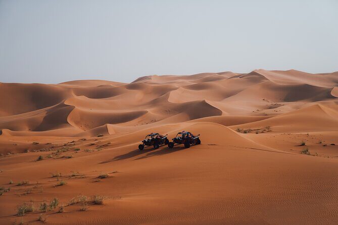 Dune Buggy Experience & Fossil Discovery in Mleiha National Park - An Adventurous Peek into Dubai’s UNESCO-listed Desert