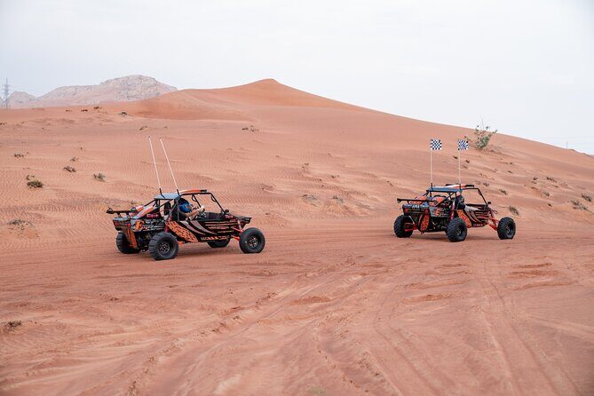 Dune Buggy Experience & Fossil Discovery in Mleiha National Park - The Value and Who Will Love It