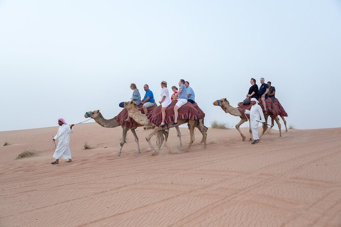 Dune Dinner Safari Abu Dhabi - Final Thoughts: Who Should Consider It?