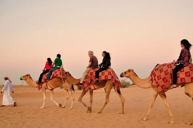 Evening Desert Adventure: Quad Biking, Sandboarding & Camel Ride - The Itinerary: From Pickup to Nighttime Entertainment