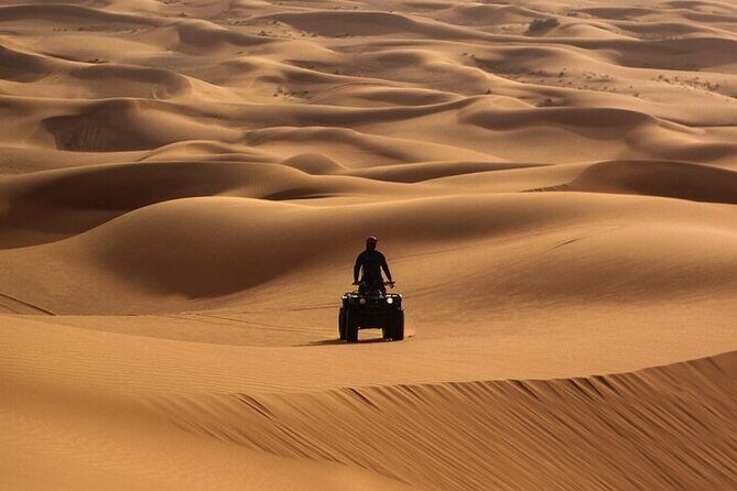 Evening Desert Safari Abu Dhabi with BBQ Dinner & Shows - Key Points