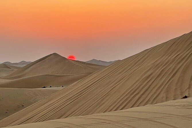 Evening Desert Safari Abu Dhabi with BBQ Dinner & Shows - Who Should Consider This Tour?