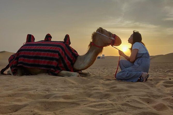 Evening Desert Safari in Dubai, Sandboard & BBQ Dinner - The Sum Up