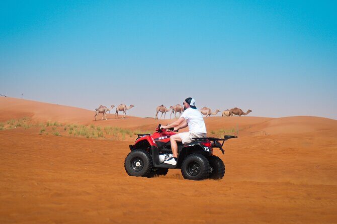 Evening Quad Bike, Desert Safari in Dubai , BBQ Dinner and Shows - The Experience: From Thrills to Cultural Immersion