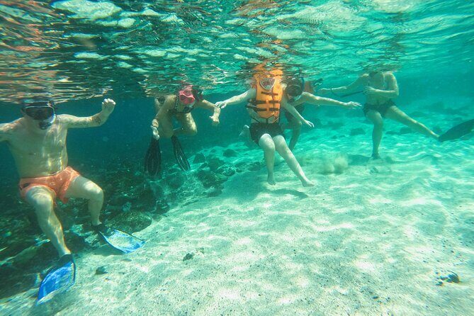 From Abu Dhabi: Snorkeling with turtles in Fujairah with BBQ - Final Thoughts