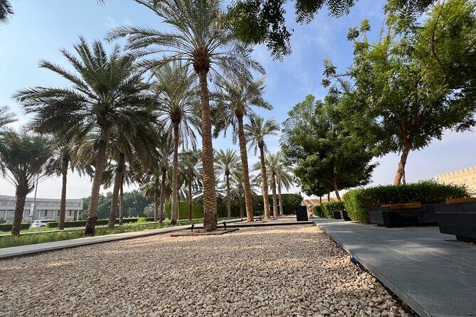 Full Day Al Ain City Tour with Lunch - What Makes This Tour Stand Out?
