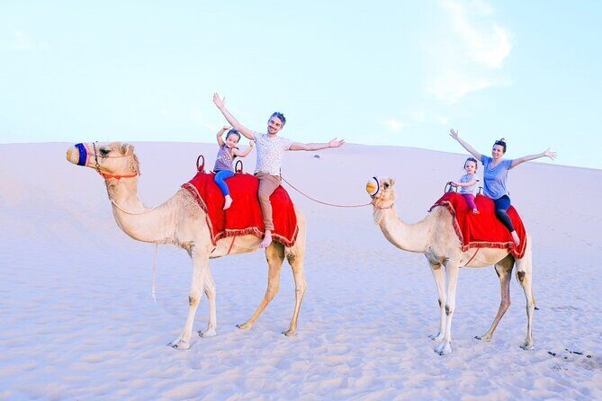 Half-Day Desert Safari from Abu Dhabi - An In-Depth Look at the Tour Experience