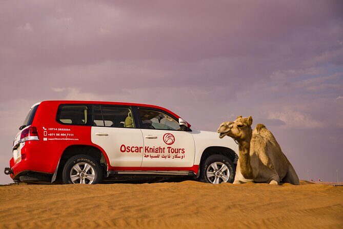 High Red Dunes with Camel Ride, Sandboarding, Falcon Show and VIP BBQ Dinner - Final Thoughts