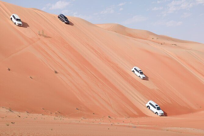 Liwa Oasis Desert Drive from Abu Dhabi - Key Points