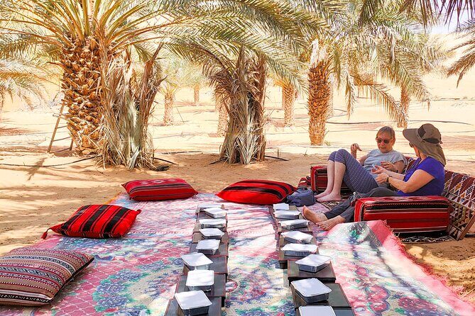 Liwa Oasis Desert Drive from Abu Dhabi - An In-Depth Look at the Liwa Oasis Desert Drive