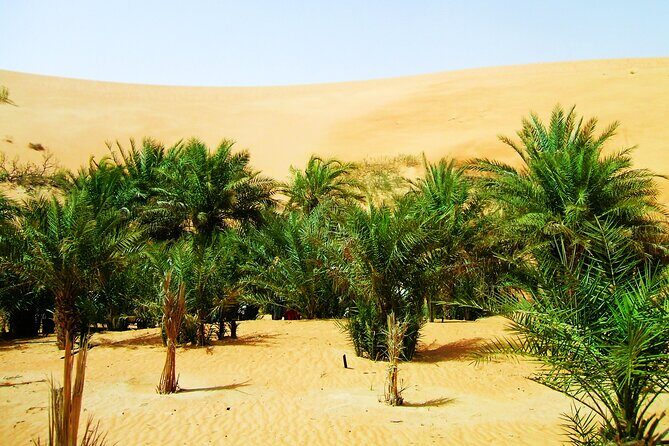 Liwa Over Night Safari - Who Is This Tour Best For?