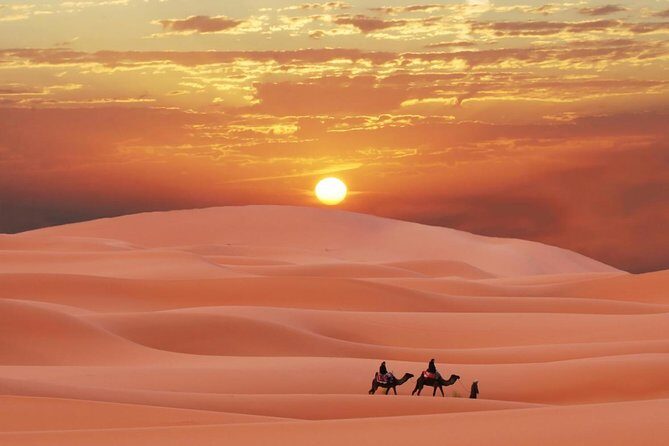 Morning Desert Safari Abu Dhabi with Camel Ride - Key Points
