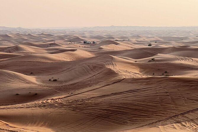 Morning Desert Safari Abu Dhabi with Camel Ride - Final Thoughts: Who Will Love This Tour?