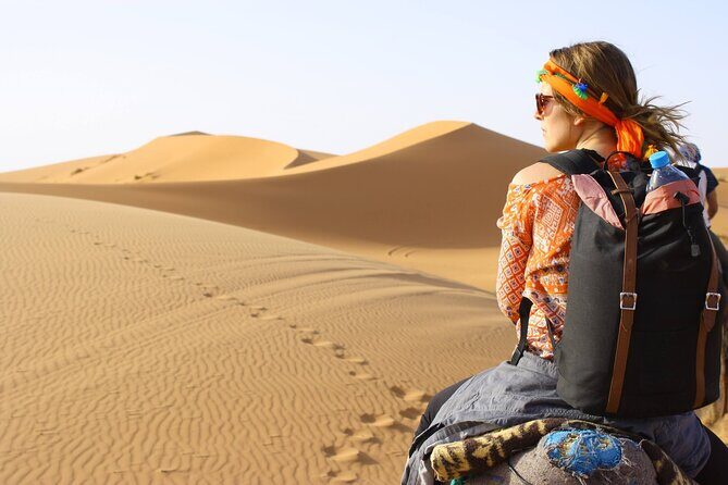 Morning Desert Safari From Abu Dhabi -Camel Ride,Sand Boarding,Camel Farm Visit - What to Expect on This Desert Safari