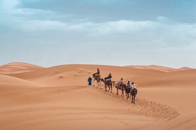Morning Desert Safari From Abu Dhabi -Camel Ride,Sand Boarding,Camel Farm Visit - The Bottom Line: Who Should Consider This Tour?