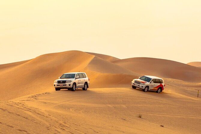 Morning Desert Safari From Abu Dhabi - The Sum Up