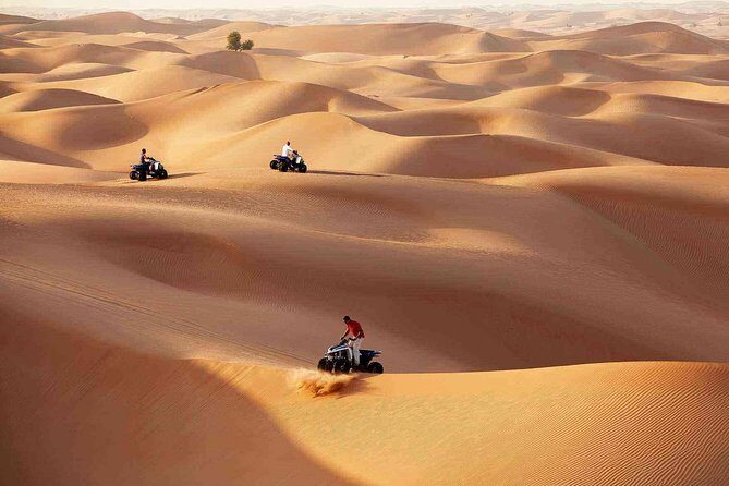 Morning Desert Safari with Quad Bike Tour Abu Dhabi - Price and Value