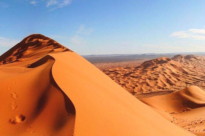 Morning Red Dunes Safari: Camel Ride & Sandboarding Adventure - Final Thoughts