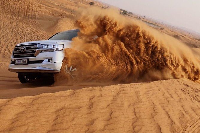 Morning Thrill: Exciting Desert Safari Adventure Camel Ride Dubai - An In-Depth Look at the Tour