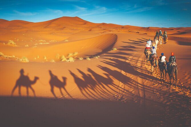 Premium Desert Safari with BBQ Dinner - Dubai - The Itinerary in Detail