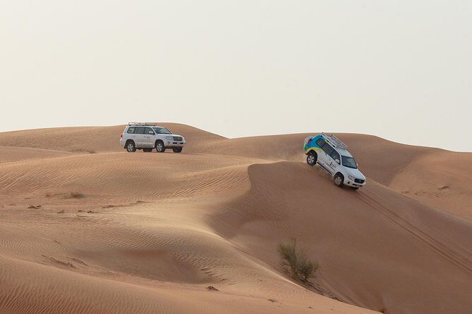 Premium Dubai Desert Safari with BBQ Dinner in the Red Dunes - What Could Be Improved?