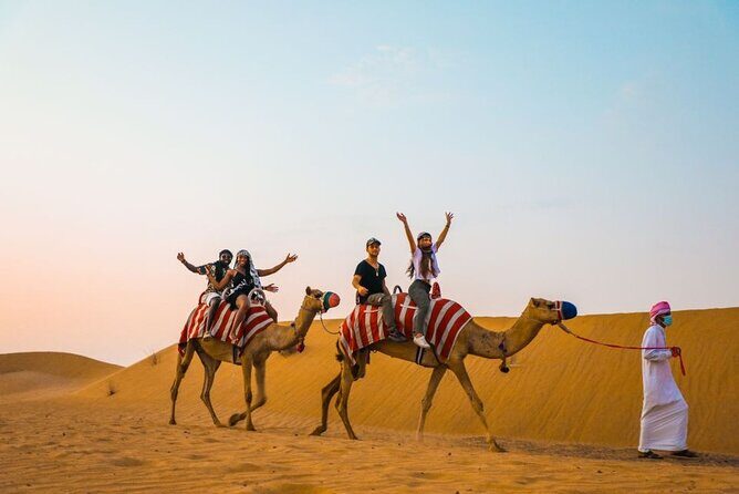 Private Desert Safari With BBQ Buffet Dinner And Live Shows - What the Reviews Reveal