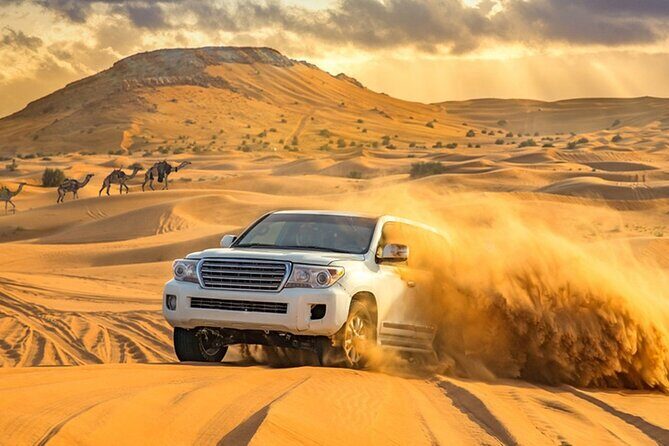 Private Evening Desert Safari with BBQ Dinner Dubai - Who Is This Tour Best For?