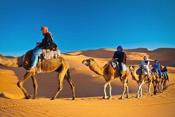 Private Evening Desert Safari with BBQ Dinner Dubai - Final Thoughts