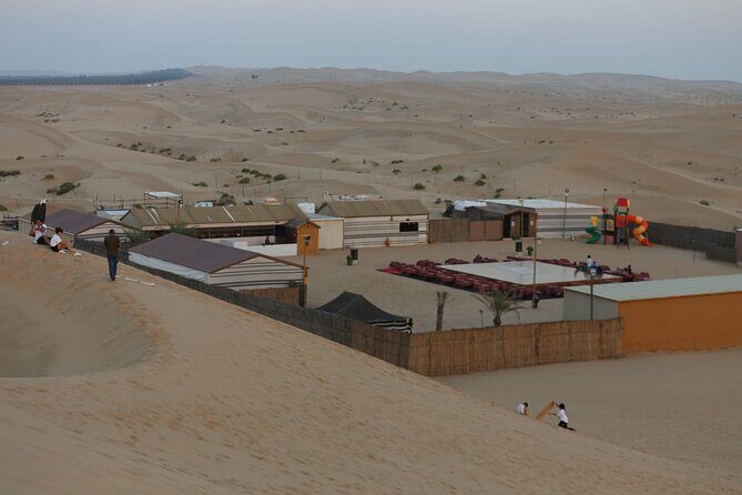 Safari Half-Day Adventure from Abu Dhabi - Why the Tour Works Well
