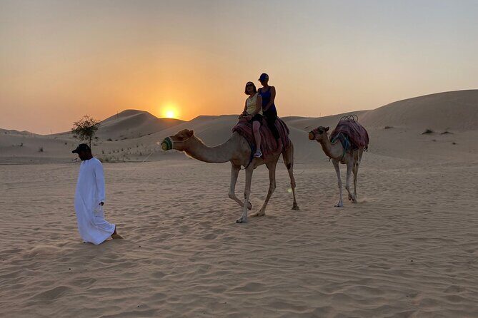 Safari Half-Day Adventure from Abu Dhabi - Authentic Experiences That Stand Out