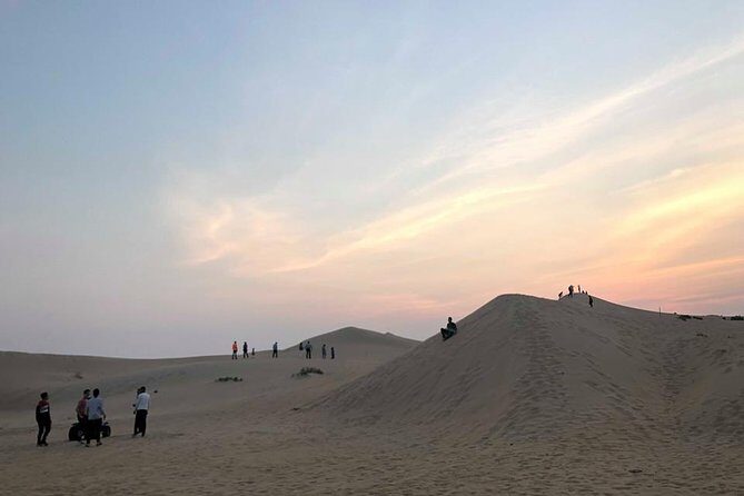 Safari Half-Day Adventure from Abu Dhabi - Final Thoughts: Is This Tour Right for You?