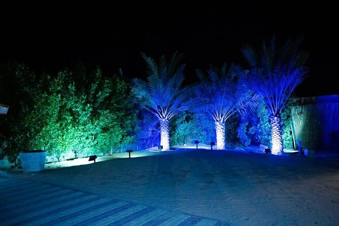 Standard Desert Safari, camel ride, BBQ Dinner, Belly Dance Show, Pick & Drop - An Honest Look at the Desert Safari Experience