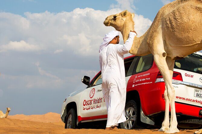 Sunset Camel Trekking with Falcon Show & VIP BBQ Dinner - Key Points