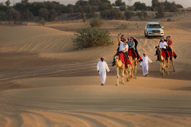 Sunset Camel Trekking with Falcon Show & VIP BBQ Dinner - A Deep Dive into the Experience